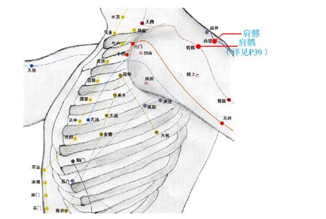 中平穴|针灸治疗肩周炎